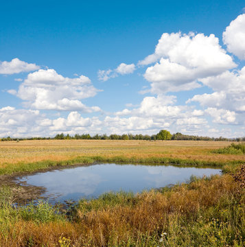 small lake in steppe