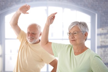 Old couple doing exercises