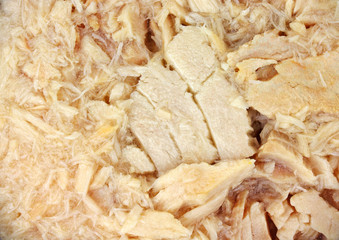 Close view albacore tuna