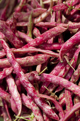 Kidney Beans Background