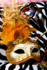 Colourful masquerade mask