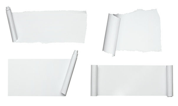 white crumpled curled scroll note paper