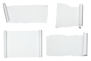 white crumpled curled scroll note paper