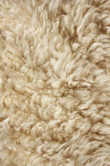 Sheep fur background