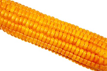 Corn cob closeup isolated over white background.