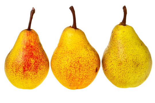 Three fresh, tasty pears isolated over white background.