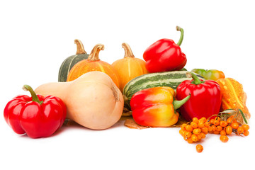 Autumn harvest on white background