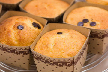 food[confectionary]_10