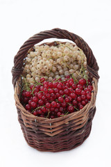 berry basket