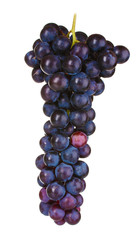 Ripe red grapes isolated on white