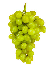 Ripe green grapes isolated on white