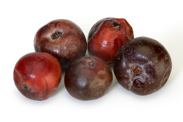 Ripe Acerola