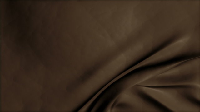 Brown Leather Bluescreen Transition