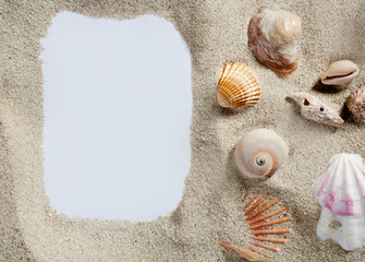 border frame summer beach shell blank copy space