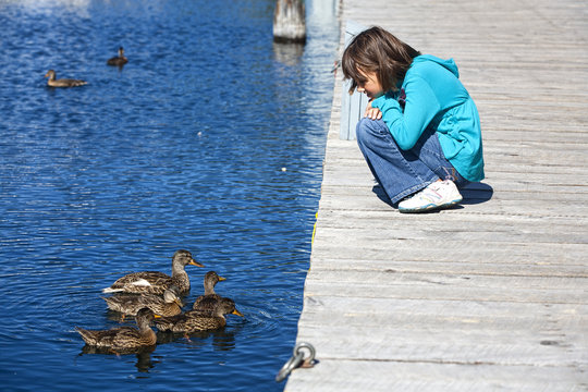 Girl and ducks look at each other.