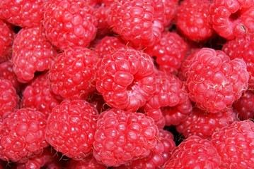 Raspberries