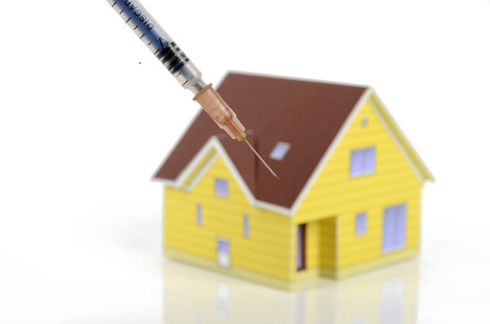 Syringe and model house