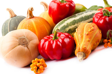 Autumn harvest on white background