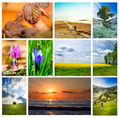 nature collage