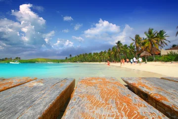 Foto op Plexiglas anti-reflex Contoy Island palm treesl caribbean beach Mexico © lunamarina