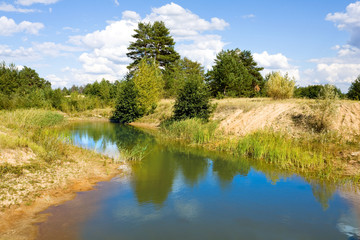Fototapeta na wymiar Small lake in pine forest