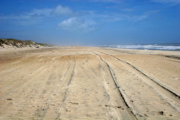Fototapeta na wymiar Plaża na Outer Banks
