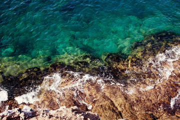 Background is the sea foam and water.