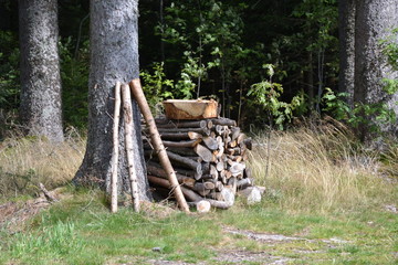 Holz © ernstboese