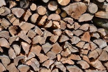 Holz © ernstboese