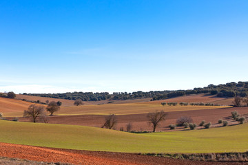 Fototapeta na wymiar Castilla-La Mancha, Spain at winter
