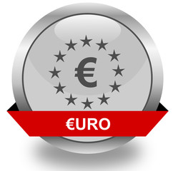 Euro symbol icon