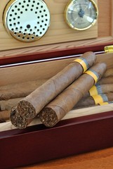 Scatola di sigari con umidificatore