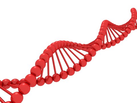 Red Dna Strands Images – Browse 30,860 Stock Photos, Vectors, and Video |  Adobe Stock