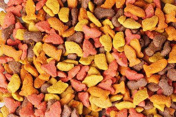 Dry cat food close-up