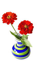 Zinnias in retro style vase