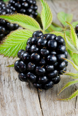 Blackberry close up
