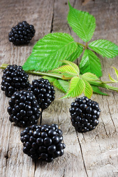 Blackberries on a wooden board with leaf