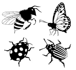 Insects silhouettes