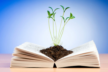 Seedlings growing from book in knowledge concept