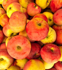 apples