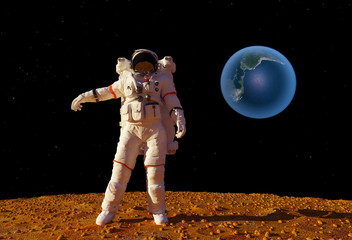 Obraz premium The astronaut