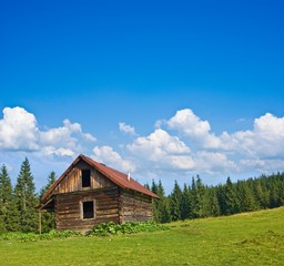 Fototapeta na wymiar small wooden house on a field