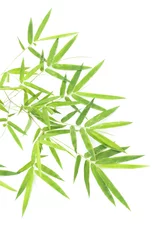Papier Peint photo autocollant Bambou Feuilles de bambou isolés sur fond blanc