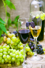 wine sampling
