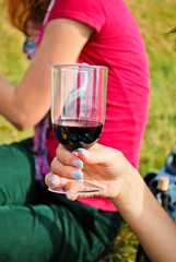 Picnic