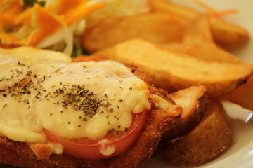 チキンカツ
