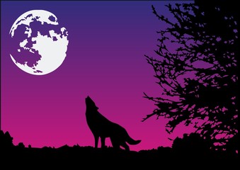 Wolf and Moon