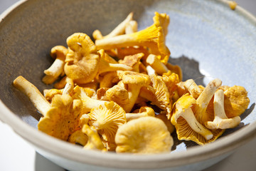 Chanterelles