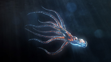 deep sea octopus - obrazy, fototapety, plakaty