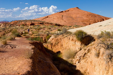 famille randonnant dans la Valley of Fire